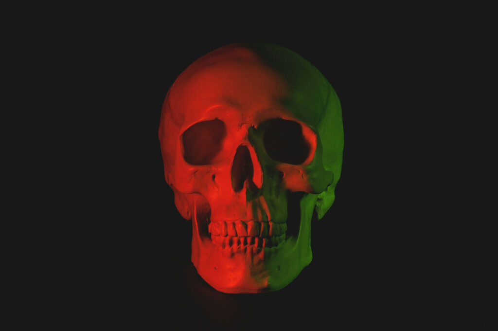 head of a skeleton